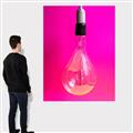 Picture of Hot Pink Light Bulb _GroupedProduct_Rectangle_Portrait_Photography _GroupedProduct_Rectangle_Portrait_Canvas_