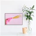 Picture of Confetti Gun _GroupedProduct_Rectangle_Landscape_Photography _GroupedProduct_Rectangle_Landscape_Canvas_Framed_