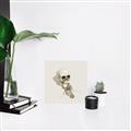 Picture of Happy Skull _GroupedProduct_Square_Photography _GroupedProduct_Square_Unframed_Print_Only_