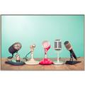 Picture of Mic Panel  _GroupedProduct_Rectangle_Landscape_Photography _GroupedProduct_Rectangle_Landscape_Canvas_Framed_