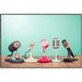 Picture of Mic Panel  _GroupedProduct_Rectangle_Landscape_Photography _GroupedProduct_Rectangle_Landscape_Canvas_Framed_