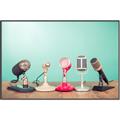 Picture of Mic Panel  _GroupedProduct_Rectangle_Landscape_Photography _GroupedProduct_Rectangle_Landscape_Canvas_Framed_