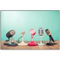 Picture of Mic Panel  _GroupedProduct_Rectangle_Landscape_Photography _GroupedProduct_Rectangle_Landscape_Canvas_Framed_