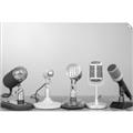 Picture of Mic Panel  _GroupedProduct_Rectangle_Landscape_Photography _GroupedProduct_Rectangle_Landscape_Unframed_Print_Only_