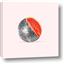 Picture of Watermelon Disco Ball