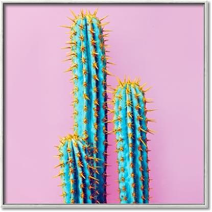 Picture of Neon Cactus