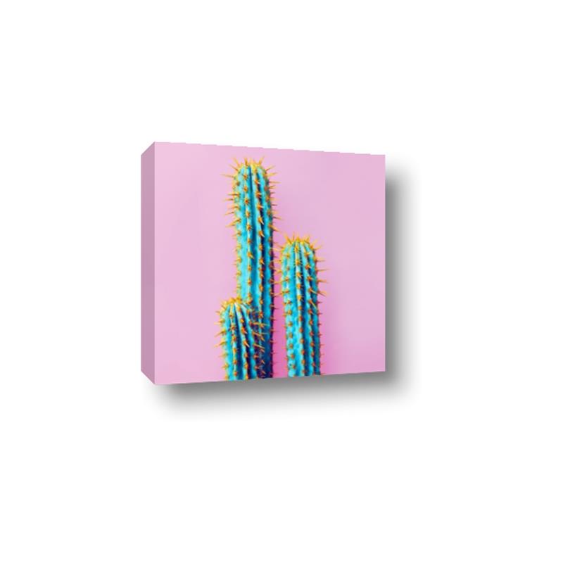 Picture of Neon Cactus _GroupedProduct_Square_Photography _GroupedProduct_Square_Canvas_