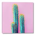 Picture of Neon Cactus _GroupedProduct_Square_Photography _GroupedProduct_Square_Canvas_