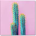 Picture of Neon Cactus _GroupedProduct_Square_Photography _GroupedProduct_Square_Canvas_