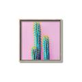 Picture of Neon Cactus _GroupedProduct_Square_Photography _GroupedProduct_Square_Canvas_Framed_