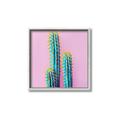Picture of Neon Cactus _GroupedProduct_Square_Photography _GroupedProduct_Square_Canvas_Framed_
