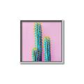 Picture of Neon Cactus _GroupedProduct_Square_Photography _GroupedProduct_Square_Canvas_Framed_