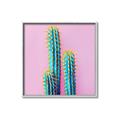 Picture of Neon Cactus _GroupedProduct_Square_Photography _GroupedProduct_Square_Canvas_Framed_