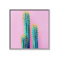 Picture of Neon Cactus _GroupedProduct_Square_Photography _GroupedProduct_Square_Canvas_Framed_