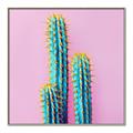 Picture of Neon Cactus _GroupedProduct_Square_Photography _GroupedProduct_Square_Canvas_Framed_