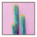 Picture of Neon Cactus _GroupedProduct_Square_Photography _GroupedProduct_Square_Canvas_Framed_