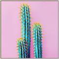 Picture of Neon Cactus _GroupedProduct_Square_Photography _GroupedProduct_Square_Canvas_Framed_