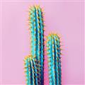 Picture of Neon Cactus _GroupedProduct_Square_Photography _GroupedProduct_Square_Unframed_Print_Only_