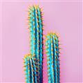 Picture of Neon Cactus _GroupedProduct_Square_Photography _GroupedProduct_Square_Unframed_Print_Only_