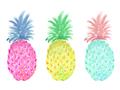Picture of Colored three pineapples  _GroupedProduct_Rectangle_Landscape_Unframed_Print_Only_