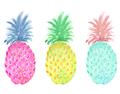 Picture of Colored three pineapples  _GroupedProduct_Rectangle_Landscape_Unframed_Print_Only_