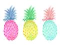 Picture of Colored three pineapples  _GroupedProduct_Rectangle_Landscape_Unframed_Print_Only_