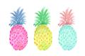 Picture of Colored three pineapples  _GroupedProduct_Rectangle_Landscape_Unframed_Print_Only_