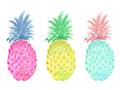 Picture of Colored three pineapples  _GroupedProduct_Rectangle_Landscape_Unframed_Print_Only_
