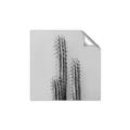 Picture of Neon Cactus _GroupedProduct_Square_Photography _GroupedProduct_Square_Unframed_Print_Only_