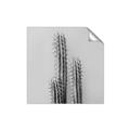 Picture of Neon Cactus _GroupedProduct_Square_Photography _GroupedProduct_Square_Unframed_Print_Only_