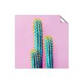 Picture of Neon Cactus _GroupedProduct_Square_Photography _GroupedProduct_Square_Unframed_Print_Only_