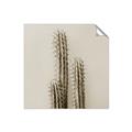 Picture of Neon Cactus _GroupedProduct_Square_Photography _GroupedProduct_Square_Unframed_Print_Only_