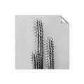 Picture of Neon Cactus _GroupedProduct_Square_Photography _GroupedProduct_Square_Unframed_Print_Only_