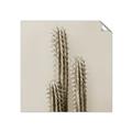 Picture of Neon Cactus _GroupedProduct_Square_Photography _GroupedProduct_Square_Unframed_Print_Only_
