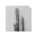 Picture of Neon Cactus _GroupedProduct_Square_Photography _GroupedProduct_Square_Unframed_Print_Only_