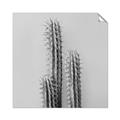 Picture of Neon Cactus _GroupedProduct_Square_Photography _GroupedProduct_Square_Unframed_Print_Only_