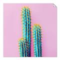 Picture of Neon Cactus _GroupedProduct_Square_Photography _GroupedProduct_Square_Unframed_Print_Only_