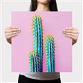 Picture of Neon Cactus _GroupedProduct_Square_Photography _GroupedProduct_Square_Canvas_