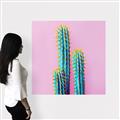 Picture of Neon Cactus _GroupedProduct_Square_Photography _GroupedProduct_Square_Canvas_