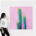 Picture of Neon Cactus _GroupedProduct_Square_Photography _GroupedProduct_Square_Canvas_