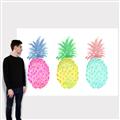 Picture of Colored three pineapples  _GroupedProduct_Rectangle_Landscape_Canvas_