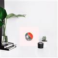 Picture of Watermelon Disco Ball  _GroupedProduct_Square_Canvas_