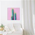 Picture of Neon Cactus _GroupedProduct_Square_Photography _GroupedProduct_Square_Canvas_Framed_