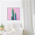 Picture of Neon Cactus _GroupedProduct_Square_Photography _GroupedProduct_Square_Canvas_Framed_