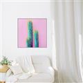 Picture of Neon Cactus _GroupedProduct_Square_Photography _GroupedProduct_Square_Canvas_Framed_