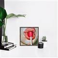 Picture of Lollipop Lips _GroupedProduct_Square_Canvas_Framed_