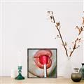 Picture of Lollipop Lips _GroupedProduct_Square_Canvas_Framed_