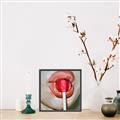 Picture of Lollipop Lips _GroupedProduct_Square_Canvas_Framed_