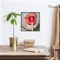 Picture of Lollipop Lips _GroupedProduct_Square_Canvas_Framed_