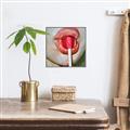 Picture of Lollipop Lips _GroupedProduct_Square_Canvas_Framed_